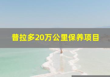 普拉多20万公里保养项目