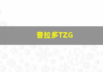 普拉多TZG