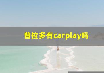 普拉多有carplay吗