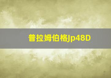 普拉姆伯格Jp48D