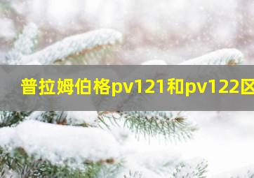 普拉姆伯格pv121和pv122区别