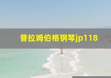 普拉姆伯格钢琴jp118