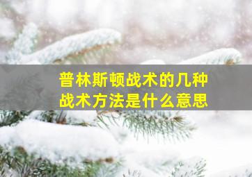 普林斯顿战术的几种战术方法是什么意思