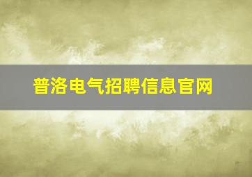 普洛电气招聘信息官网