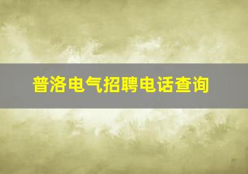 普洛电气招聘电话查询