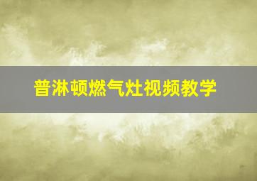 普淋顿燃气灶视频教学