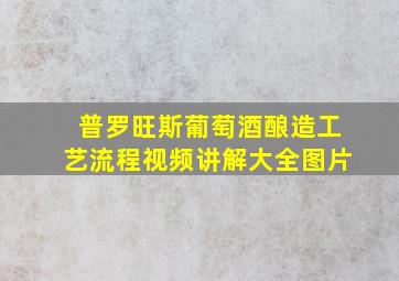 普罗旺斯葡萄酒酿造工艺流程视频讲解大全图片