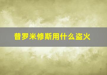 普罗米修斯用什么盗火