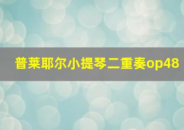 普莱耶尔小提琴二重奏op48