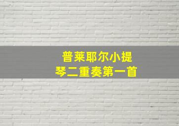 普莱耶尔小提琴二重奏第一首