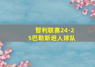 智利联赛24-25巴勒斯坦人球队