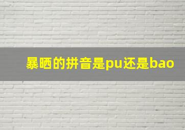 暴晒的拼音是pu还是bao