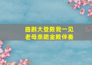 曲剧大登殿我一见老母亲跪金殿伴奏