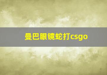 曼巴眼镜蛇打csgo