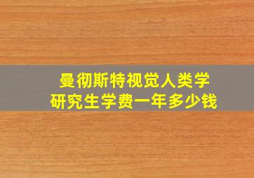 曼彻斯特视觉人类学研究生学费一年多少钱