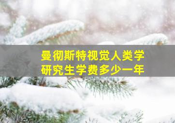 曼彻斯特视觉人类学研究生学费多少一年