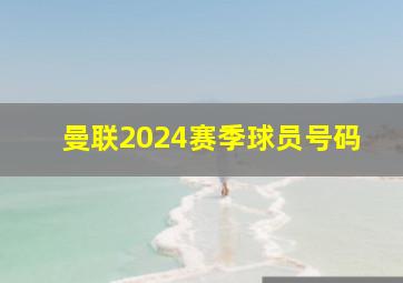 曼联2024赛季球员号码