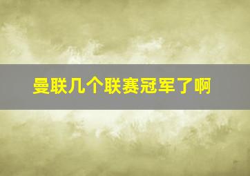 曼联几个联赛冠军了啊