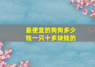 最便宜的狗狗多少钱一只十多块钱的