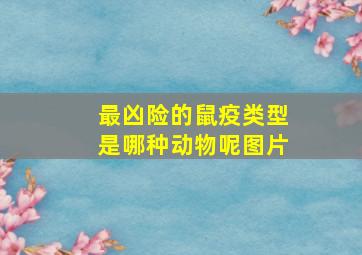 最凶险的鼠疫类型是哪种动物呢图片