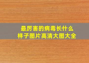 最厉害的病毒长什么样子图片高清大图大全