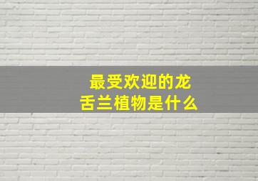 最受欢迎的龙舌兰植物是什么