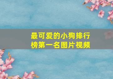 最可爱的小狗排行榜第一名图片视频