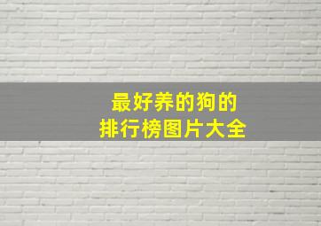 最好养的狗的排行榜图片大全