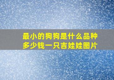 最小的狗狗是什么品种多少钱一只吉娃娃图片