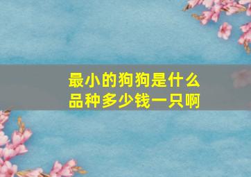 最小的狗狗是什么品种多少钱一只啊