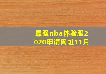 最强nba体验服2020申请网址11月