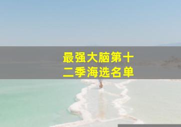 最强大脑第十二季海选名单