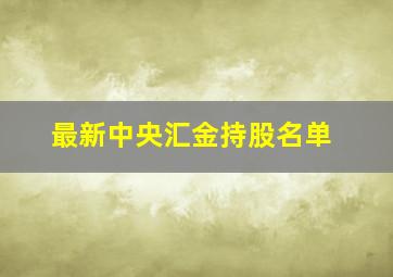 最新中央汇金持股名单