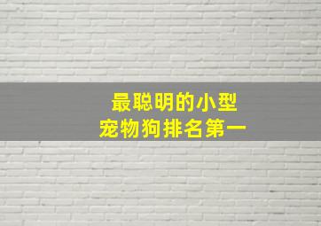 最聪明的小型宠物狗排名第一