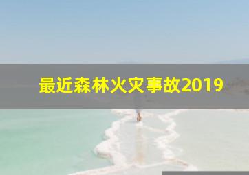 最近森林火灾事故2019