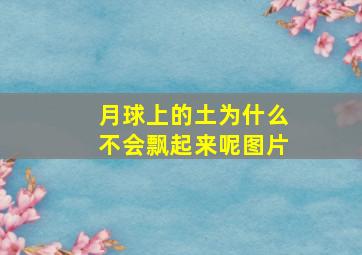 月球上的土为什么不会飘起来呢图片