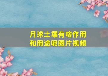 月球土壤有啥作用和用途呢图片视频