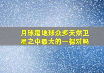 月球是地球众多天然卫星之中最大的一棵对吗