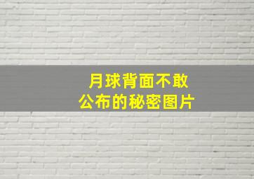 月球背面不敢公布的秘密图片