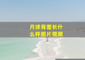 月球背面长什么样图片视频