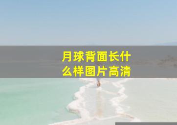 月球背面长什么样图片高清