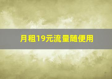 月租19元流量随便用