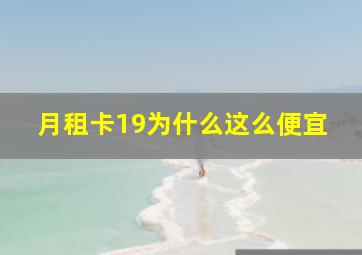 月租卡19为什么这么便宜