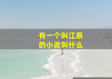 有一个叫江辰的小说叫什么