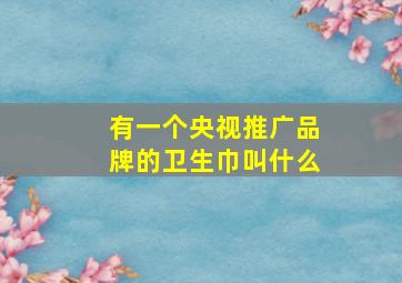 有一个央视推广品牌的卫生巾叫什么