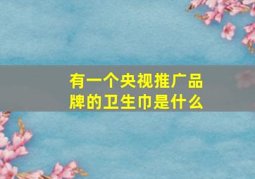 有一个央视推广品牌的卫生巾是什么