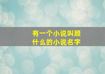 有一个小说叫顾什么的小说名字