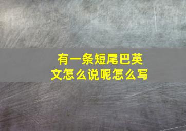 有一条短尾巴英文怎么说呢怎么写