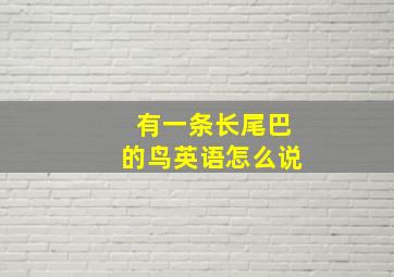 有一条长尾巴的鸟英语怎么说