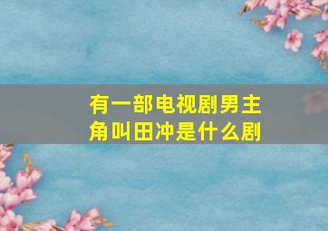 有一部电视剧男主角叫田冲是什么剧